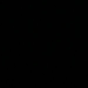 Meet your Posher, Chandler